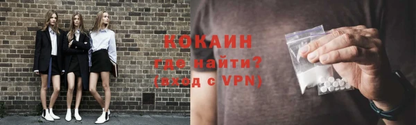дживик Лагань