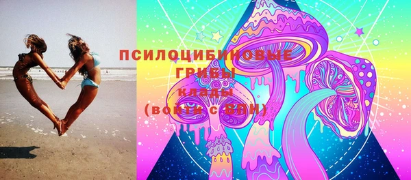 прущие крисы Ладушкин