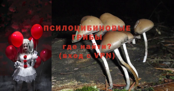 соль курить ск Кулебаки