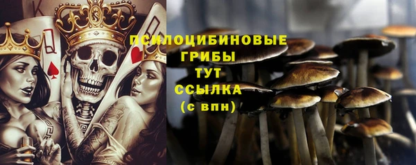 альфа пвп Кукмор