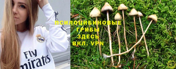 соль курить ск Кулебаки