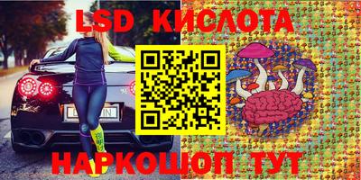 спайс Гагарин