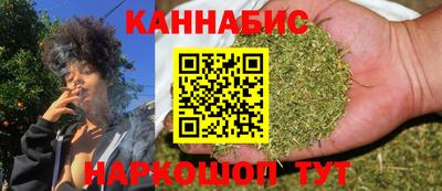 крисы Гай