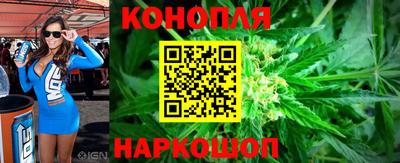 спайс Гагарин