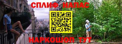 крисы Гай