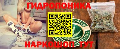 спайс Гагарин