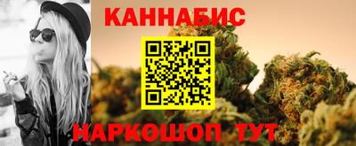 крисы Гай