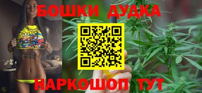 крисы Гай