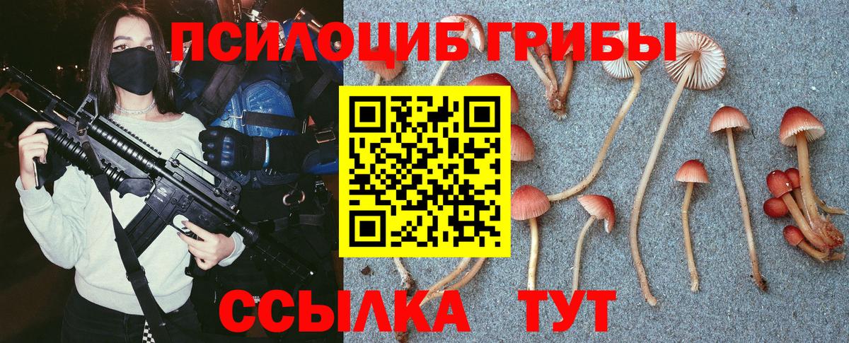 Галлюциногенные грибы Cubensis Армавир