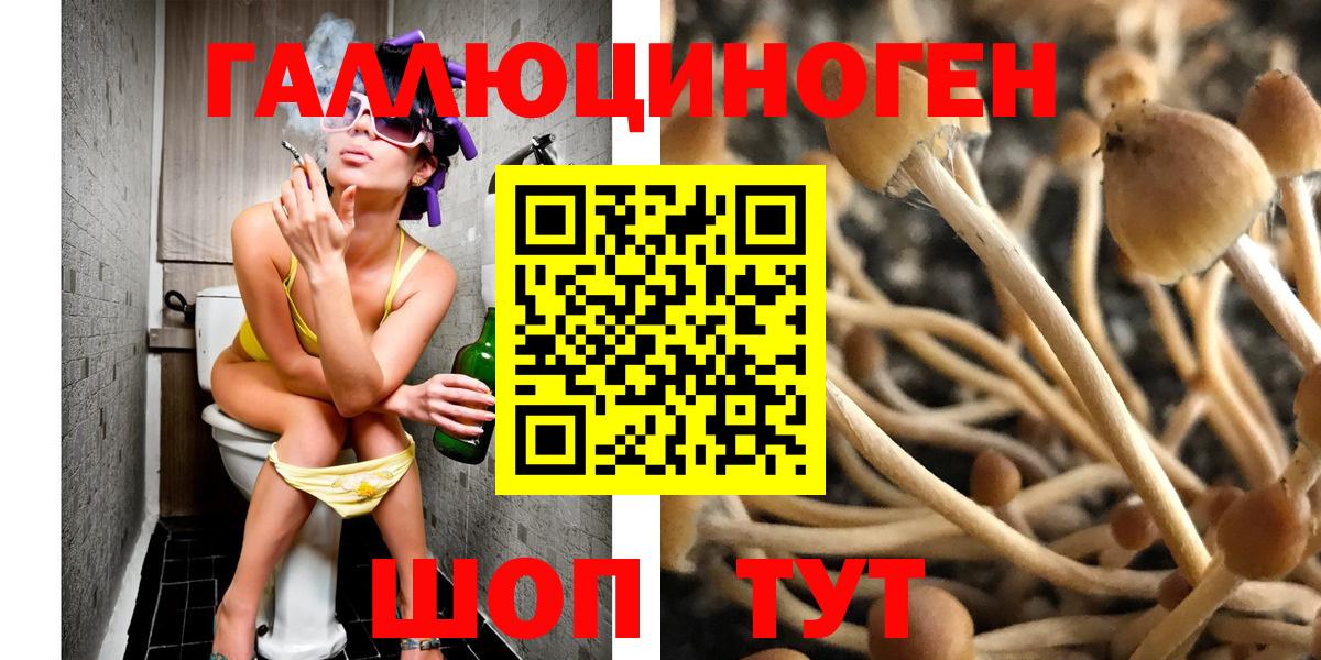 Псилоцибиновые грибы Psilocybe  закладка  Армавир  Вход с VPN 